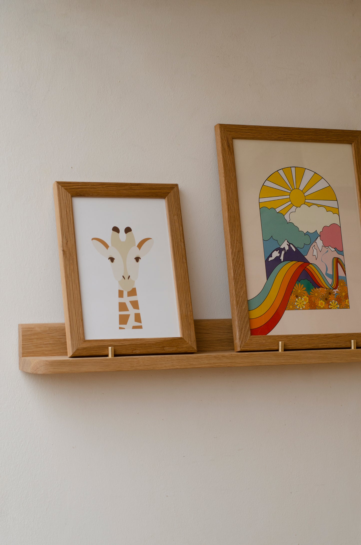 Picture Shelf - Medium