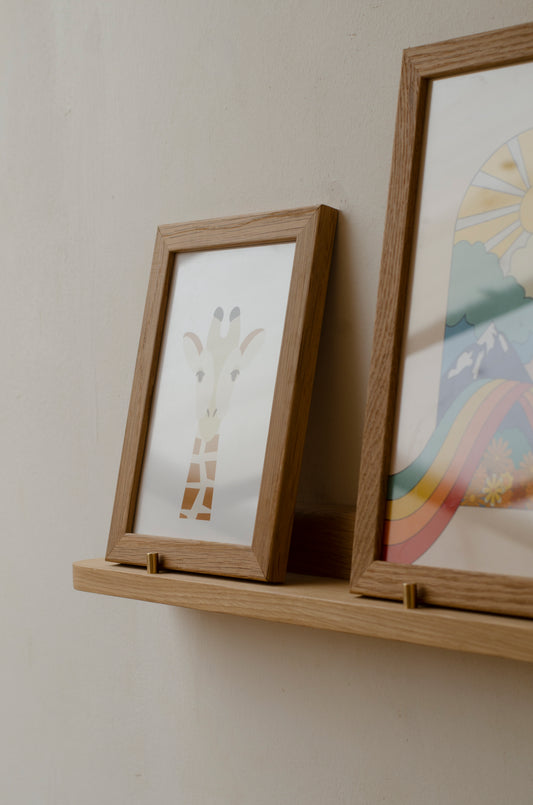 Picture Shelf - Medium